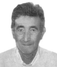Berta Enzo