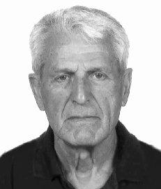 Vimercati Pietro Luigi (nini')