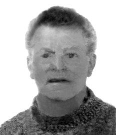 Damiani Giovanni