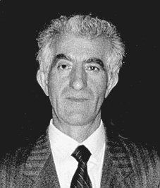 Capelli Gottardo