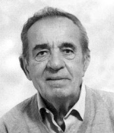 Faccini Camillo