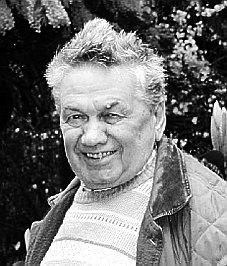 Salvi Gino