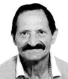 Pulcini Attilio