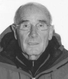 Pesenti Compagnoni Domenico