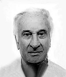 Zucchinelli Silvano