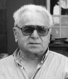 Trapletti Celestino