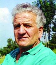 Grigis Lodovico