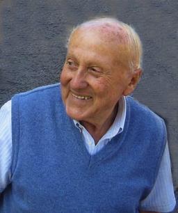 Arnoldi Mario
