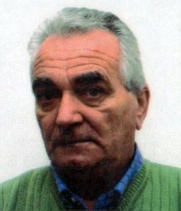 Allevi Flaminio