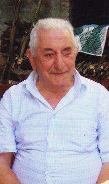 Milesi Domenico