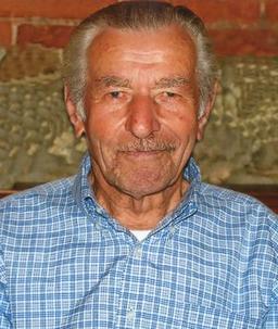 Mora Domenico