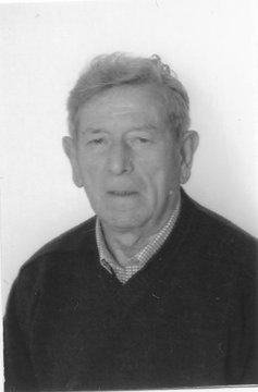 Gamba Costantino