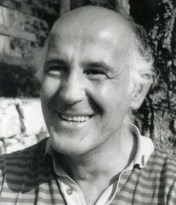 Salvi Giandomenico