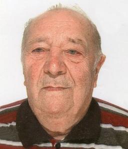 Salvi Giovanni