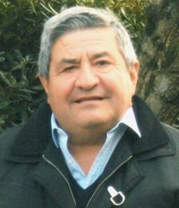 Barcella Germano
