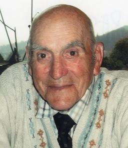 Brignoli Vincenzo Ilario