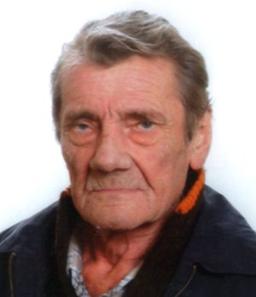 Terzi Cesare (mario)