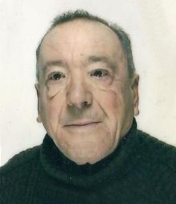 Bonicelli Romano