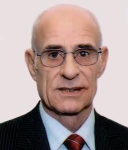 Galasso Michelangelo