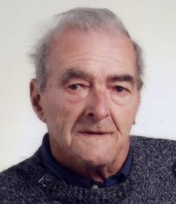 Mazzola Gino