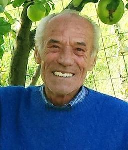Savoldelli Mario