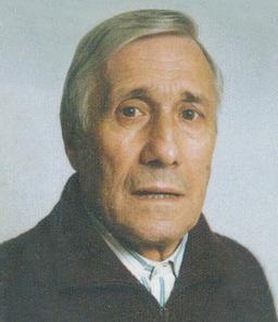Salini Michele
