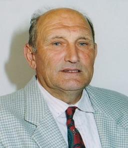Ambrosini Luigi