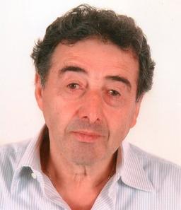 Berzi Michele