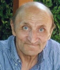 Viviani Luigi