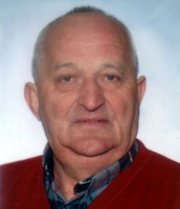Arnoldi Giovanni