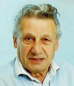 Paladini Erminio