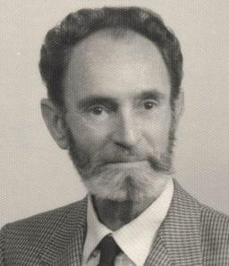Deleidi Domenico Ing.