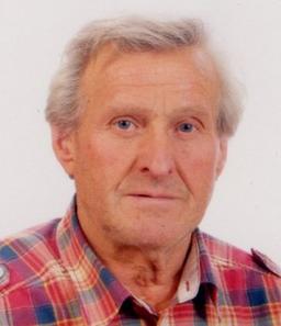 Morbi Angelo