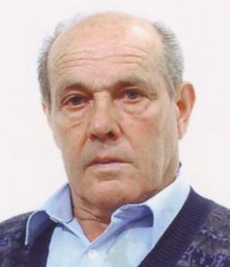 Palamini Alberto