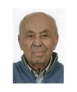 Pendesini Sergio
