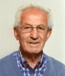 Lazzaroni Domenico