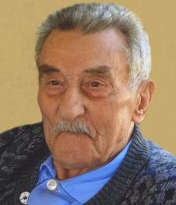 Arici Amadio (gino)