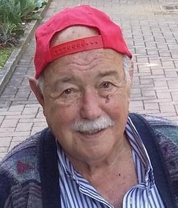 Ghisalberti Vincenzo