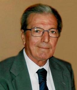 Vigano' Romualdo