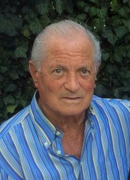 Orlandini Domenico