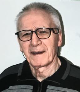 Vassalli Luigi