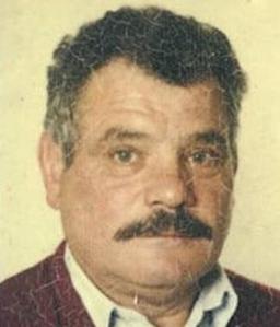 Traini Palmino
