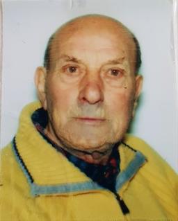 Camozzi Michele