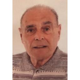 Giovanelli Francesco