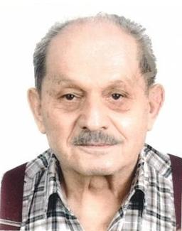 Seriola Mauro
