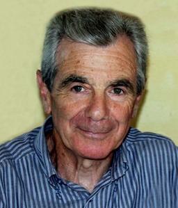 Gotti Vincenzo