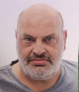 Gamba Stefano