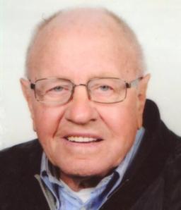 Andrioletti Alessio (lese)
