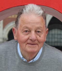 Bernini Martino