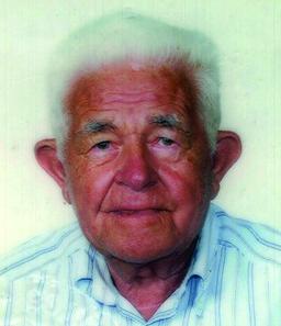 Tironi Lino